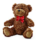 Adorable Plush Bear – Leysha Flowers, Middlesex NJ