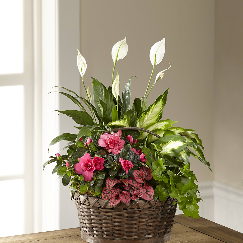Dream in Pink Dishgarden – Leysha Flowers, Middlesex NJ