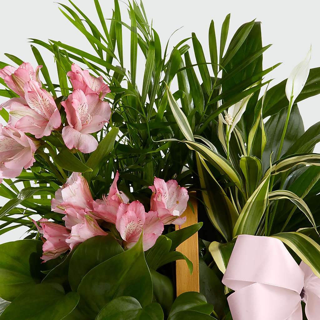 Living Spirit Dishgarden – Leysha Flowers, Middlesex NJ
