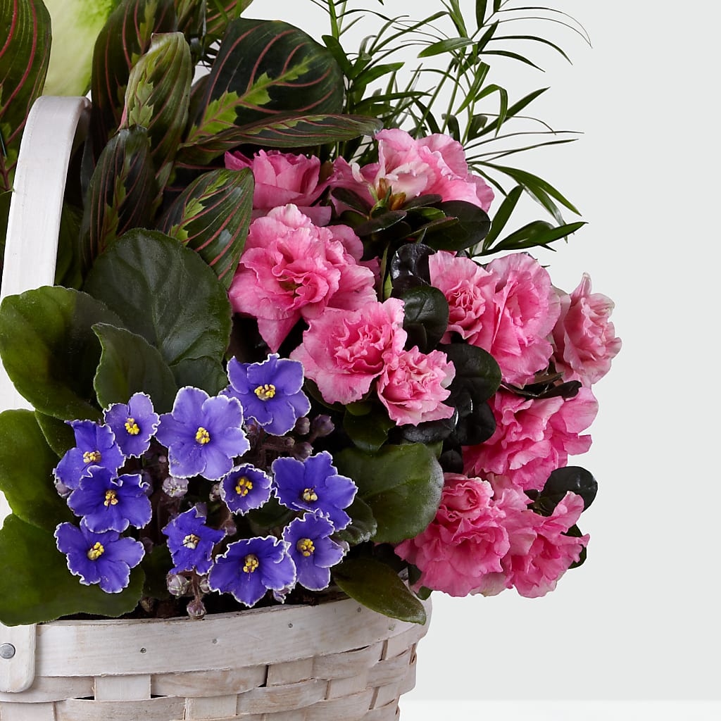 Peaceful Garden Planter – Leysha Flowers, Middlesex NJ