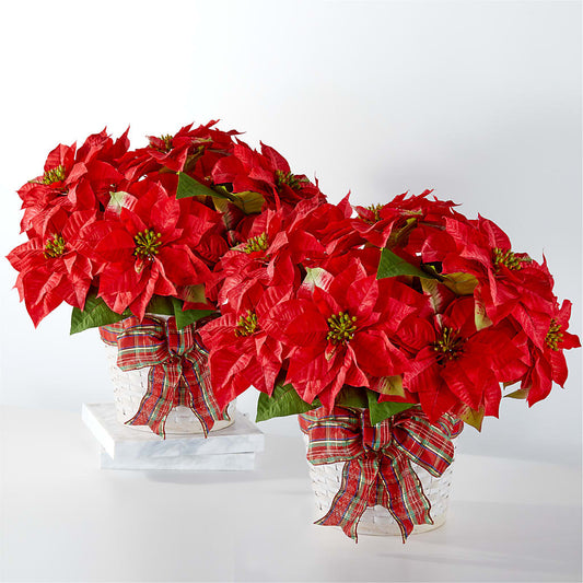 Happiest Holidays Poinsettia Bundle –  Leysha Flowers, Middlesex NJ