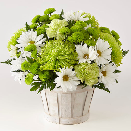 Lucky Charm Basket (Standard) –  Leysha Flowers, Middlesex NJ