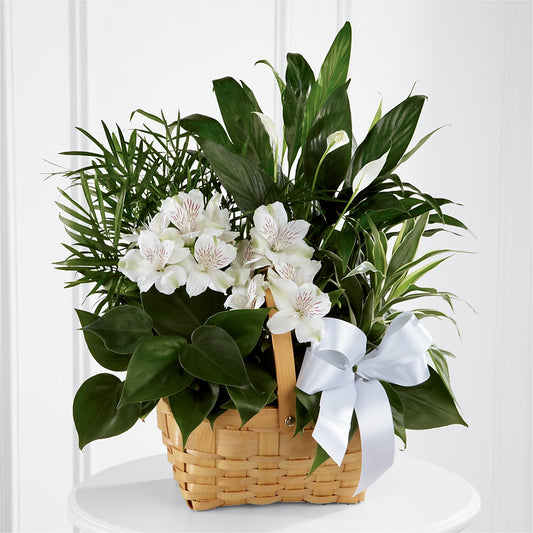 Peace & Serenity Dishgarden –  Leysha Flowers, Middlesex NJ