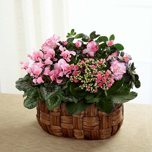 Pink Assortment –  Leysha Flowers, Middlesex NJ