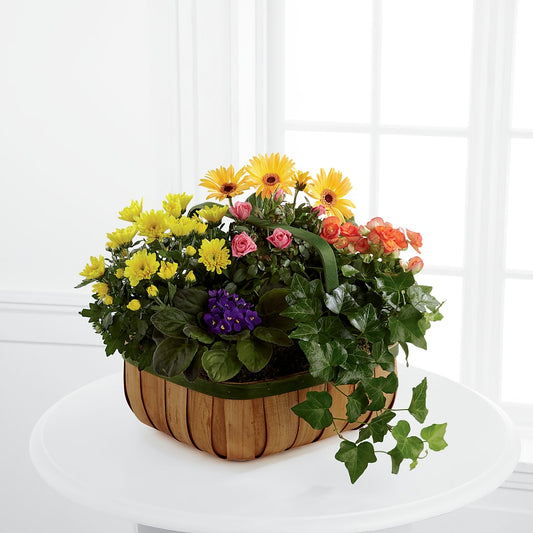 Gentle Blossoms Basket –  Leysha Flowers, Middlesex NJ