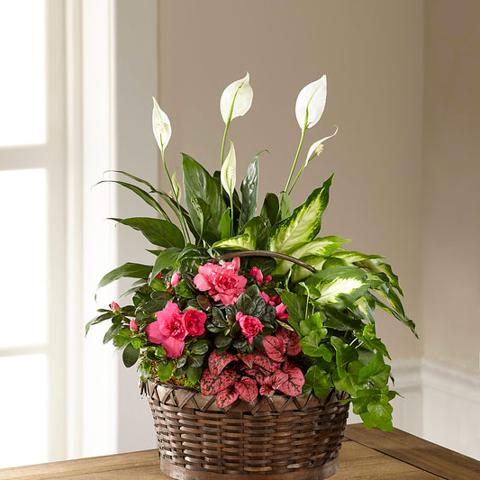 Dream in Pink Dishgarden –  Leysha Flowers, Middlesex NJ