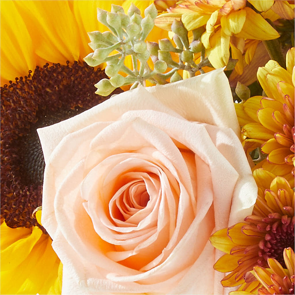 Pumpkin to Talk About Bouquet –  Leysha Flowers, Middlesex NJ
