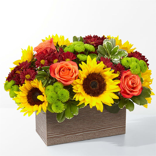 Happy Harvest Garden –  Leysha Flowers, Middlesex NJ