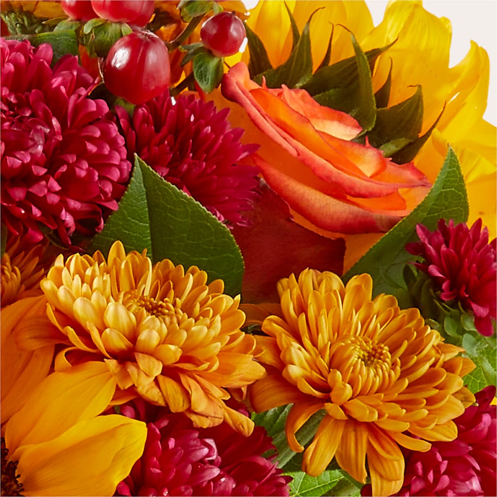 Sweater Season - A Florist Original –  Leysha Flowers, Middlesex NJ
