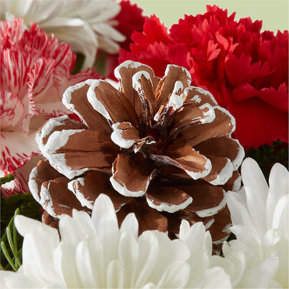 Candy Cane Lane Bouquet –  Leysha Flowers, Middlesex NJ