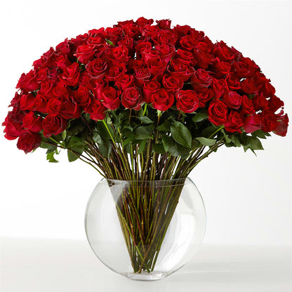 The Idealist –  Leysha Flowers, Middlesex NJ