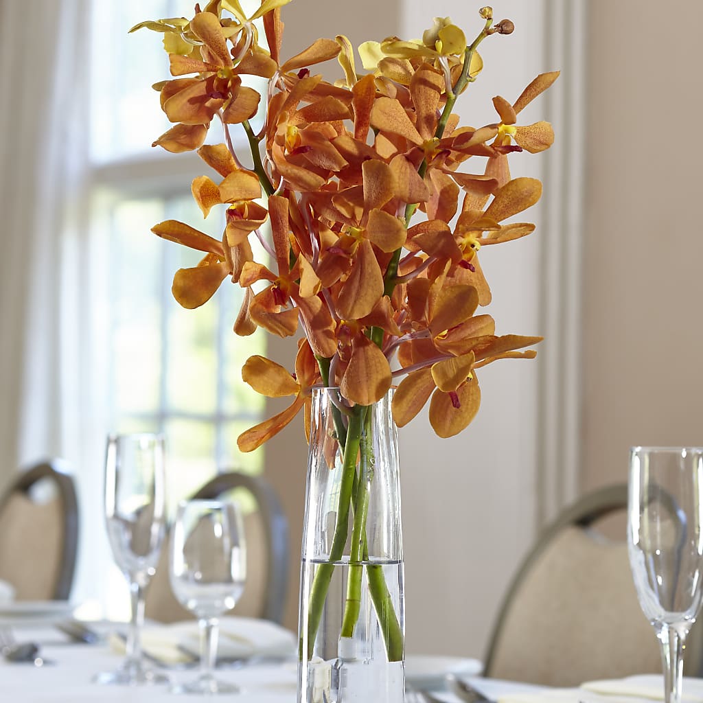 Orange Mokara Bud Vase –  Leysha Flowers, Middlesex NJ