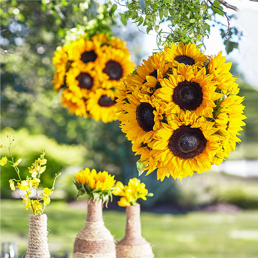 Sublime Garden Hanging Arrangement –  Leysha Flowers, Middlesex NJ