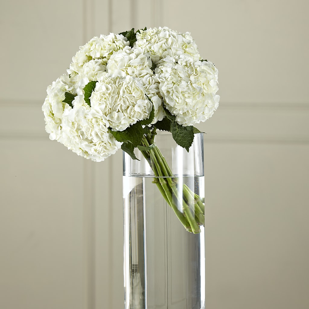 White Hydrangea Hand-Tied Bouquet –  Leysha Flowers, Middlesex NJ