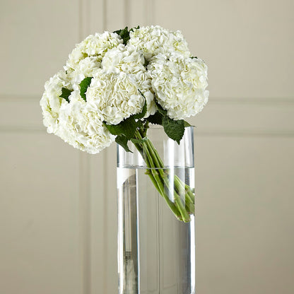 White Hydrangea Hand-Tied Bouquet –  Leysha Flowers, Middlesex NJ